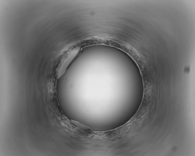 X0000095121110200712070936