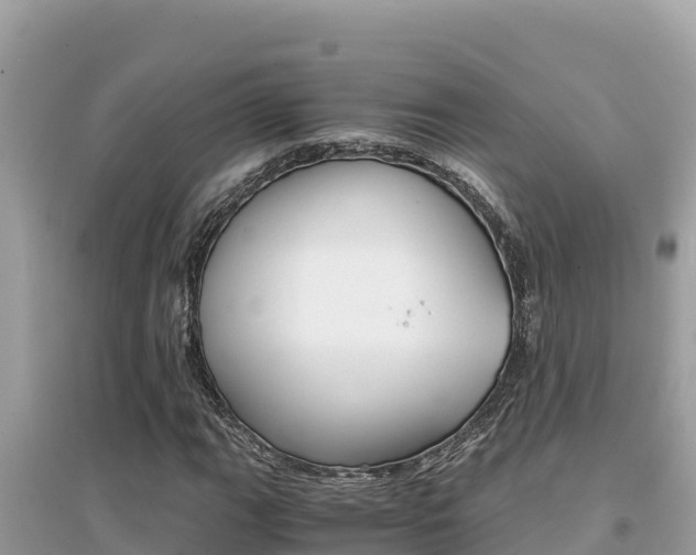 X0000095121111200712070936