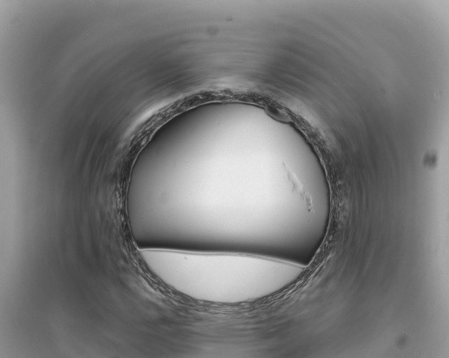 X0000095121112200712070936