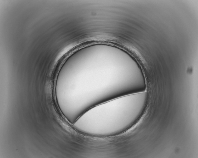 X0000095121114200712070936