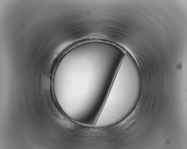 X0000095121115200712070936