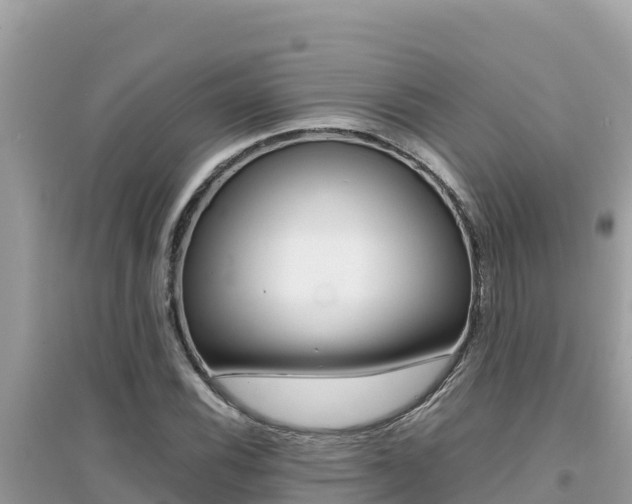 X0000095121116200712070936