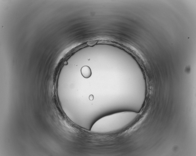 X0000095121117200712070936