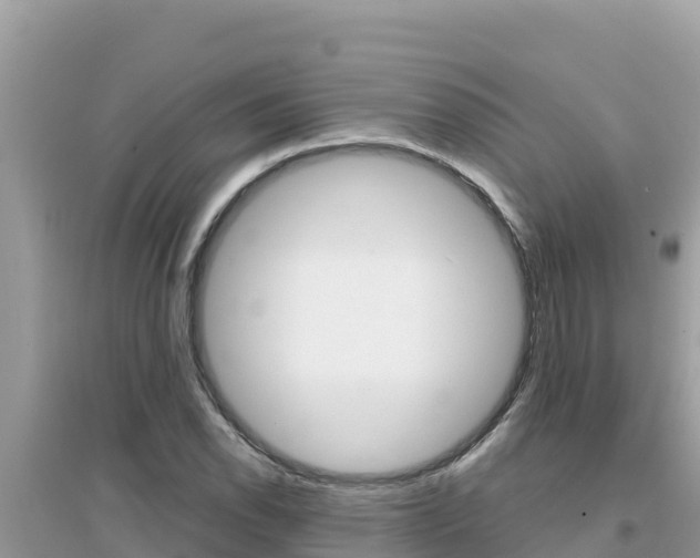 X0000095121118200712070937