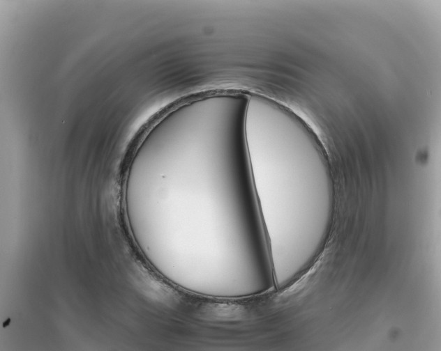 X0000095121119200712070937