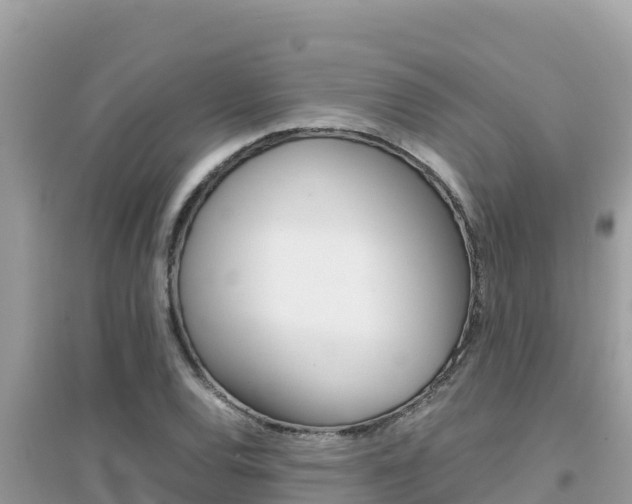 X0000095121120200712070937