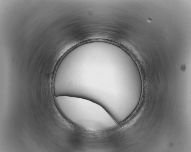 X0000095121121200712070937
