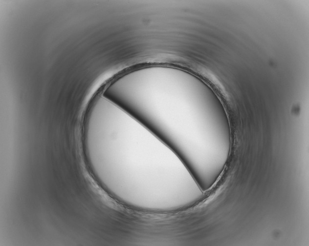 X0000095121122200712070937