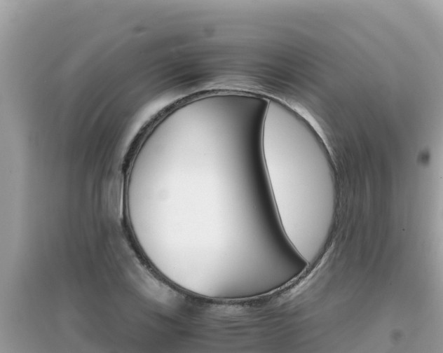 X0000095121123200712070937