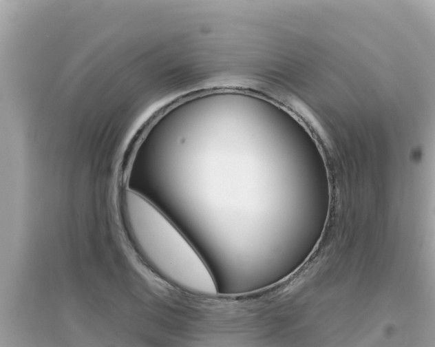 X0000095121124200712070937