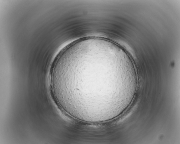 X0000095121125200712070937