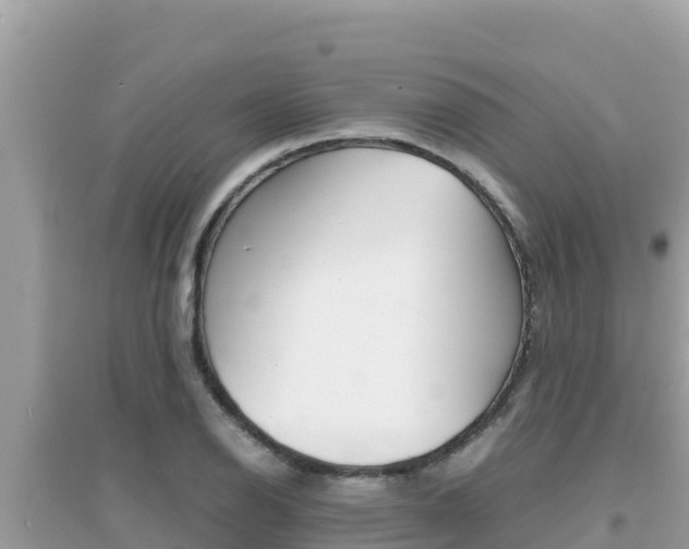 X0000095121126200712070937