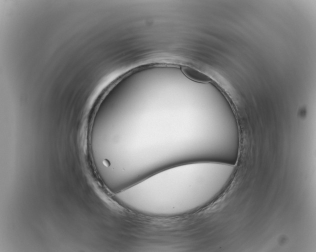 X0000095121128200712070937