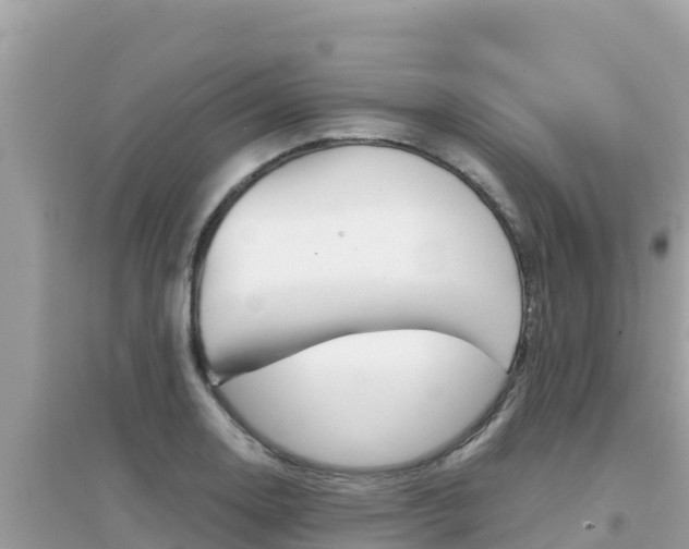 X0000095121130200712070937