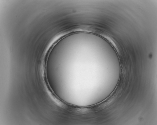 X0000095121131200712070937