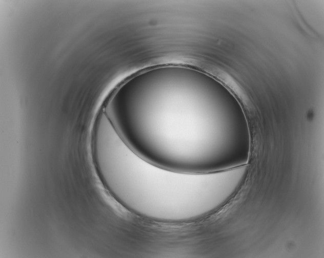X0000095121132200712070937