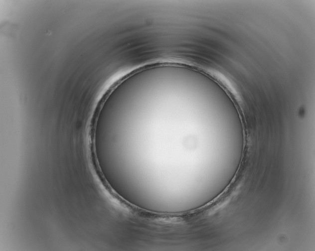 X0000095121133200712070937