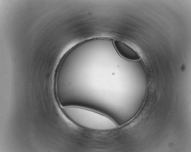 X0000095121135200712070937