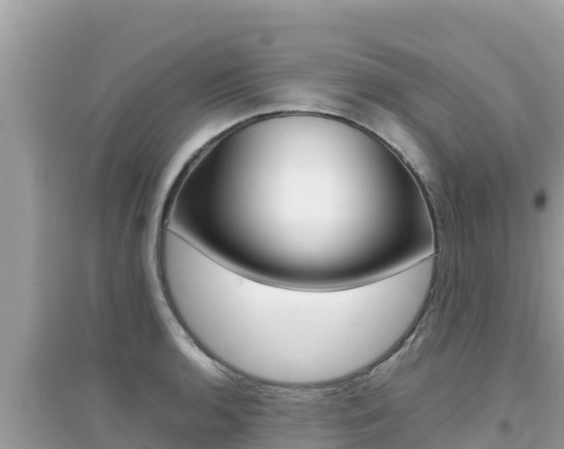 X0000095121136200712070937