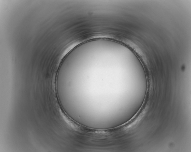X0000095121137200712070937