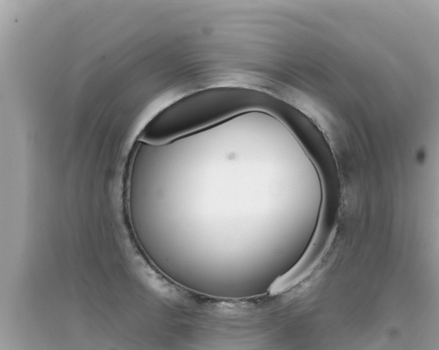 X0000095121138200712070937