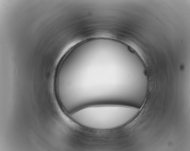 X0000095121139200712070937