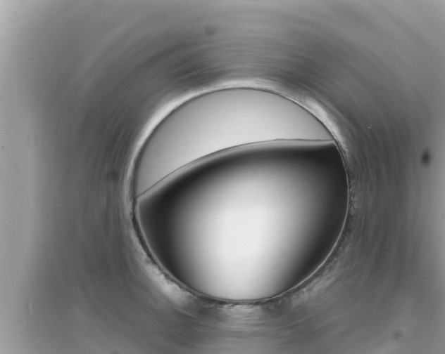 X0000095121140200712070937