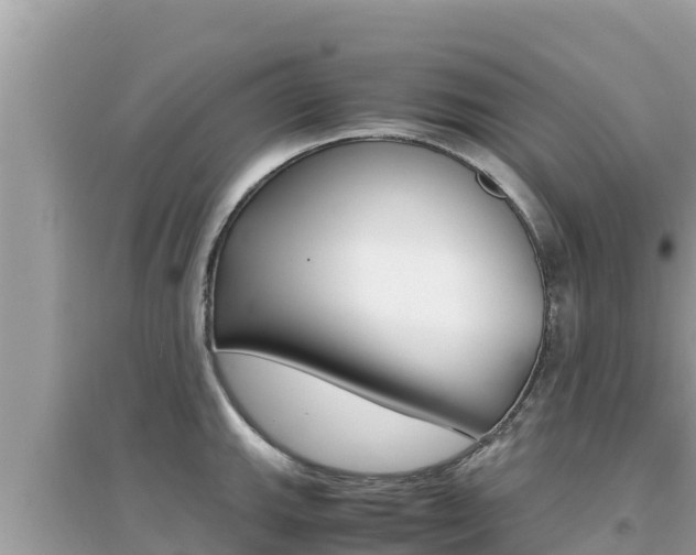X0000095121143200712070937