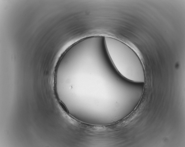 X0000095121144200712070937