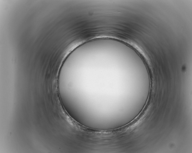 X0000095121145200712070937