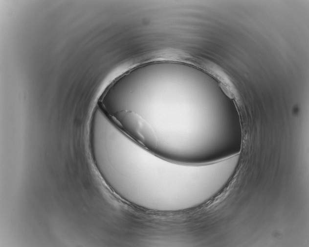 X0000095121146200712070937