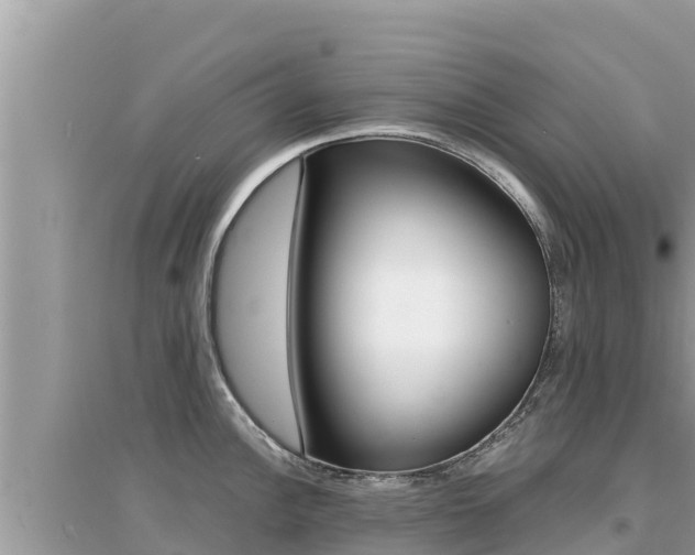 X0000095121148200712070937