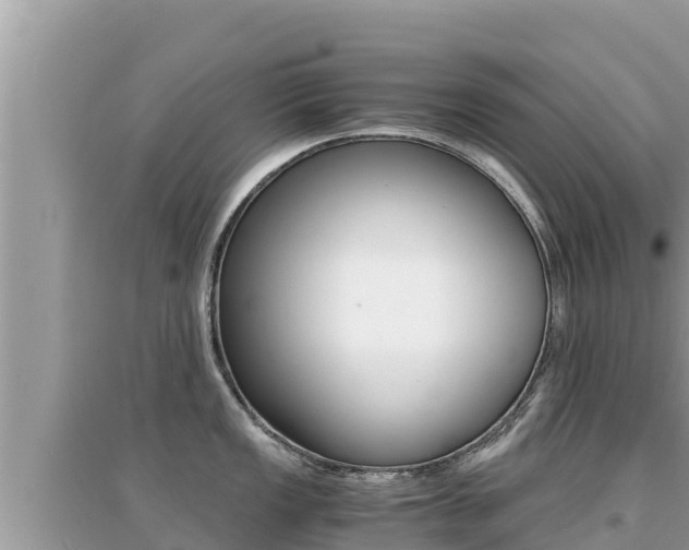 X0000095121149200712070937
