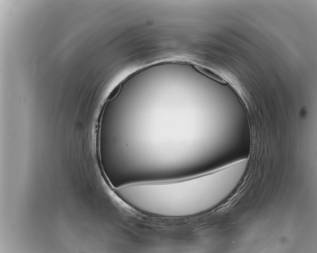 X0000095121151200712070937