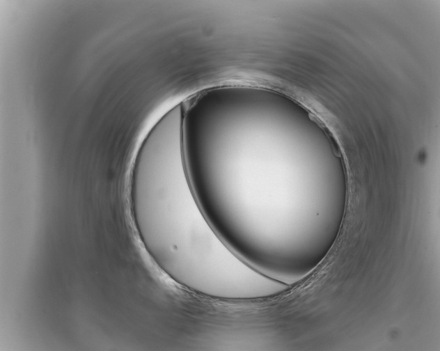 X0000095121152200712070937