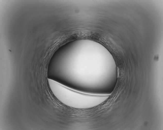 X0000095121153200712070936