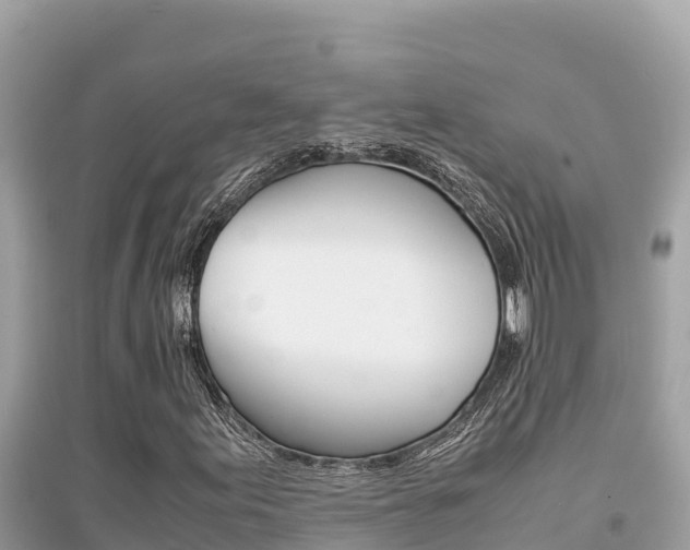 X0000095121155200712070936