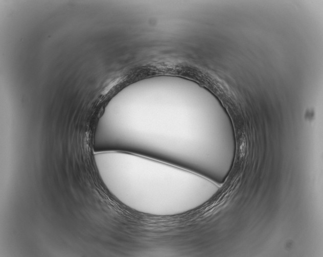 X0000095121156200712070936