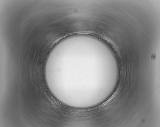 X0000095121161200712070936