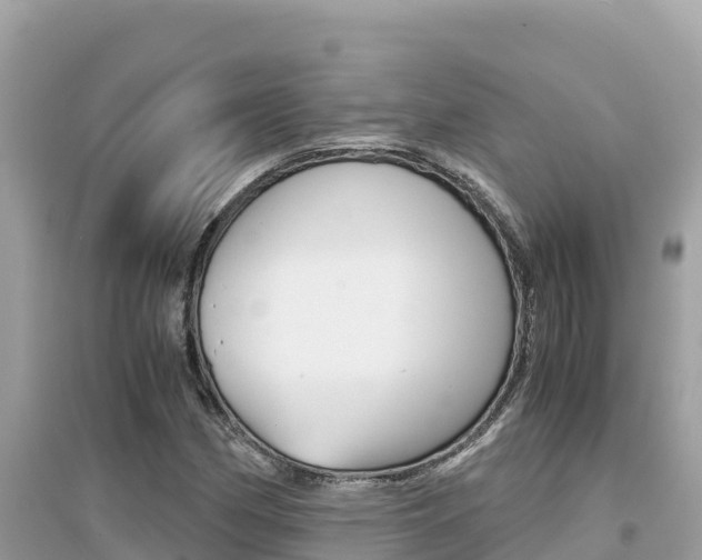 X0000095121162200712070936