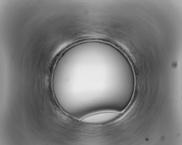 X0000095121163200712070936