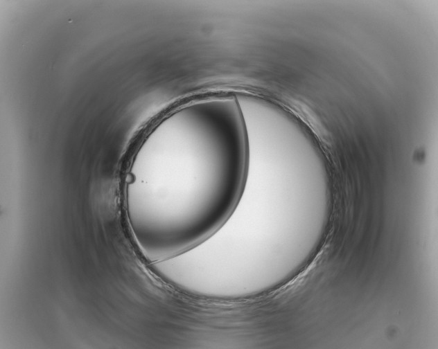 X0000095121164200712070936