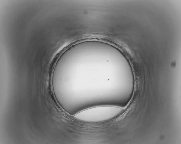 X0000095121165200712070936
