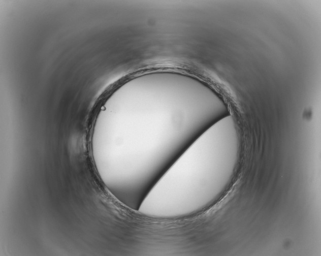 X0000095121166200712070936