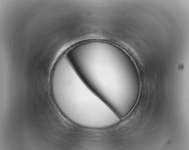 X0000095121168200712070936