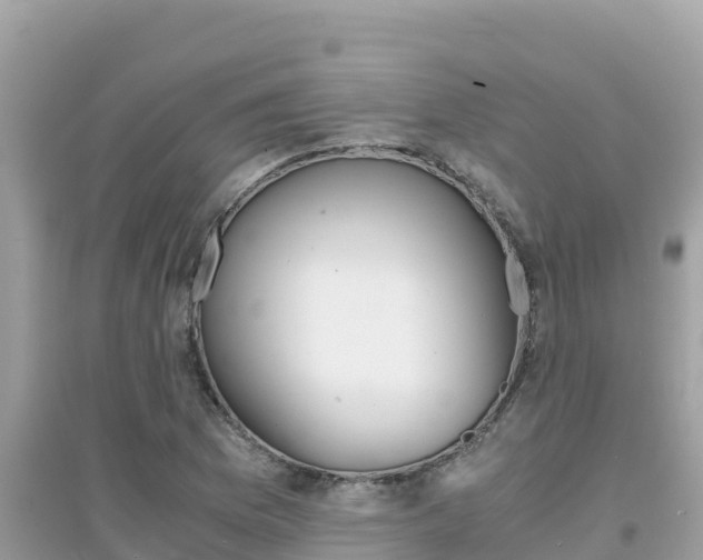 X0000095121169200712070936