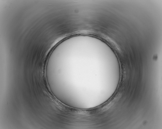 X0000095121170200712070936