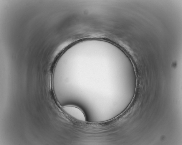 X0000095121171200712070936