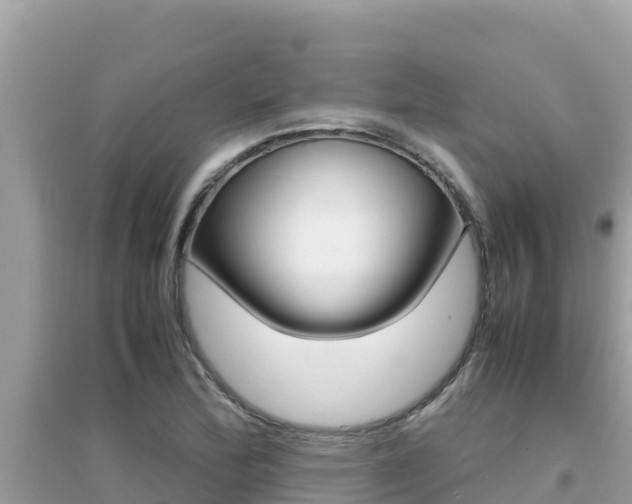 X0000095121172200712070936