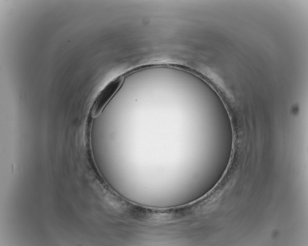 X0000095121173200712070936